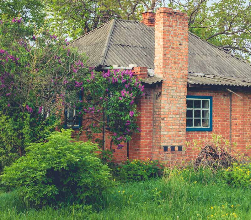 Kleines altes Backsteinhaus mit gemauerten Kamin, umrahmt von grün blühenden, hohen Bäumen in einem Garten.